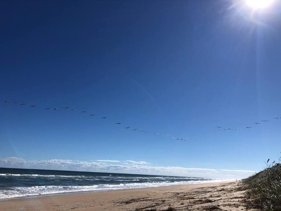 Zen Beach Retreat - Ocean View Townhouse -No Drive Beach New Smyrna Beach Εξωτερικό φωτογραφία