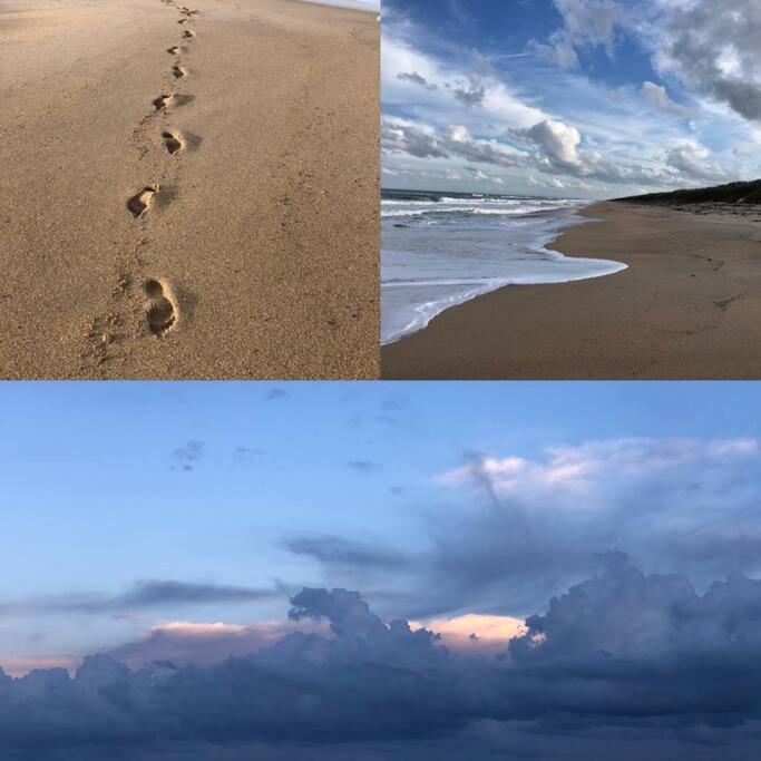 Zen Beach Retreat - Ocean View Townhouse -No Drive Beach New Smyrna Beach Εξωτερικό φωτογραφία